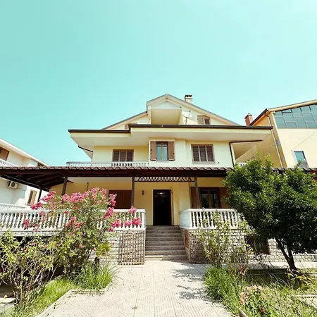 Vizion Shkoder