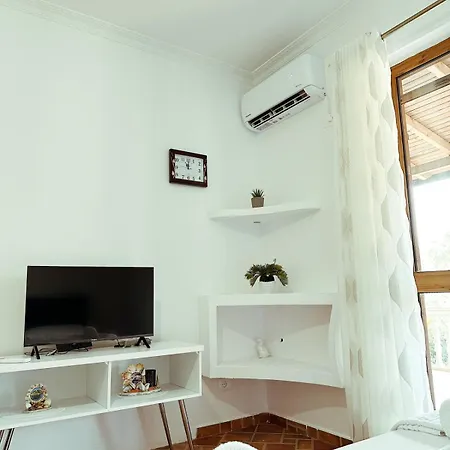 Vizion 3* Shkoder