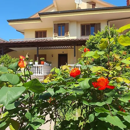 Vizion Otel Shkodër