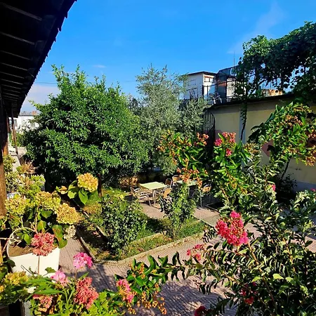Vizion Hotel