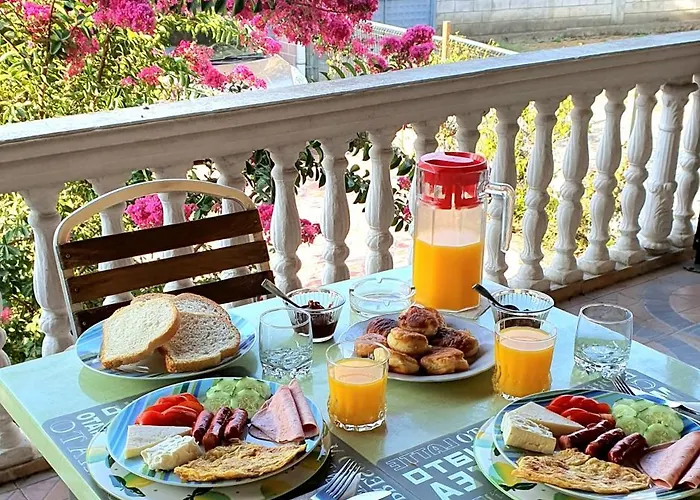 Otel Vizion Shkodër