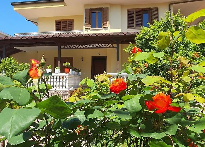 Vizion Otel Shkodër